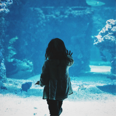 Back of little girl up against aquarium
